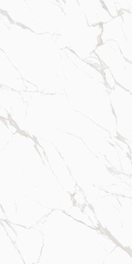 Керамогранит Noble Super White Satin Matt Белый 60x120 от Colortile (Индия)