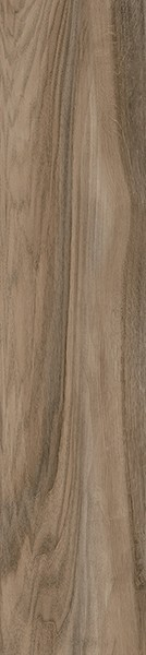 Керамогранит Ironwood (GFA92IRW05R) матовый 20x90x8 от Alma Ceramica (Россия)