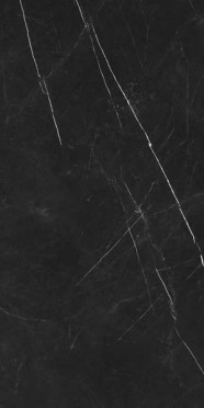 Керамогранит Forte Dei Marmi Elegant Black Honed Satin (610015000659) 60x120 от Atlas Concorde (Россия)