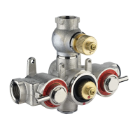 Внутренняя часть термостата Nicolazzi 4910