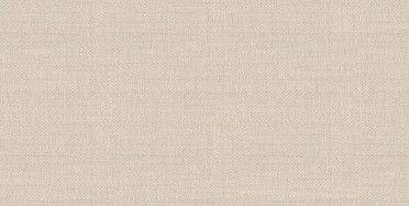 Настенная плитка Asteria (TWU09ATR044) 24.9x50x8.5 от Alma Ceramica (Россия)