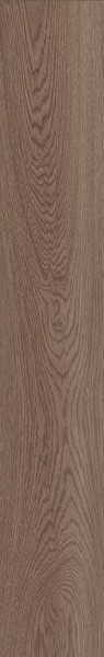 Керамогранит POETRY WOOD OAK NAT RETT 120 20x120 от ABK Ceramiche (Италия)