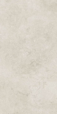 Керамогранит Stone Eden Light Matt (N12051) 60x120 от Neodom (Индия)