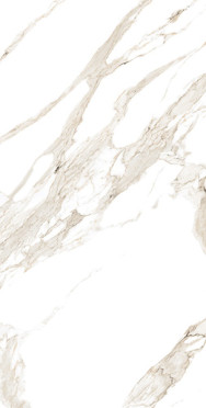 Керамогранит STATUARIO CARARA GLOSSY R (ROL83952) 60x120 от Gresant (Индия)