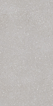 Керамогранит SASSY SILVER REC (под заказ) 60x120 от TAU Ceramica (Испания)