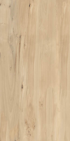 Керамогранит Forest Sweet Home Matt матовая (FVL4511M) 60x120 от Buono (Индия)