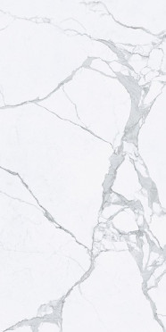 Керамогранит STATUARIO LUC/RET (106040) 60x120 от Tagina (Италия)