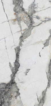 Керамогранит Titanium Renoir (N20344) 120x280 от Neodom (Индия)