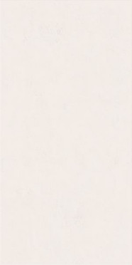 Настенная плитка WIDE&STYLE MINI SNOW RET (PF60008228) 60x120 от ABK Ceramiche (Италия)