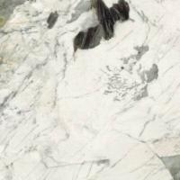 Керамогранит THE ROOM PAT WH6 120 LP (175671) 120x120 от Imola Ceramica (Италия)