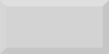 Настенная плитка Monocolor Gris Biselado Brillo 10x20 10x20 от Absolut Keramika (Испания)