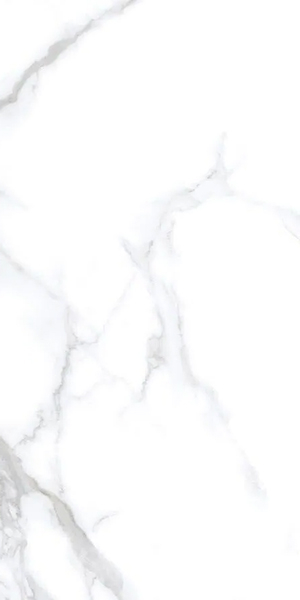 Керамогранит Splendida Statuario Chic Polished (N20531) 60x120 от Neodom (Индия)