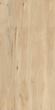 Керамогранит Forest Sweet Home Matt матовая (FVL4511M) 60x120 от Buono (Индия)