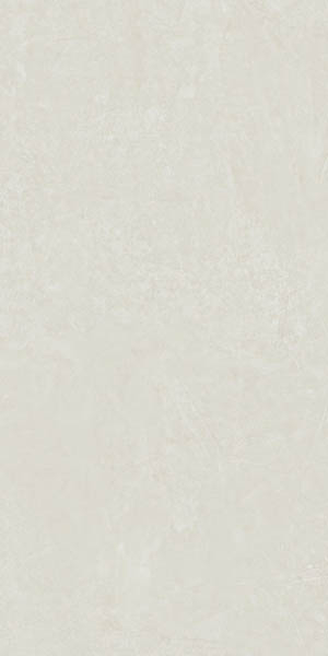 Керамогранит Rinascente Resin White (610010005607) 80x160 от Atlas Concorde (Россия)