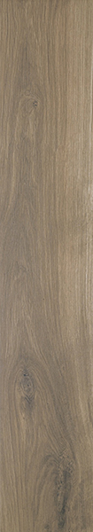 Керамогранит OREGON ROBLE RECT 20x120 от APE Ceramica (Испания)