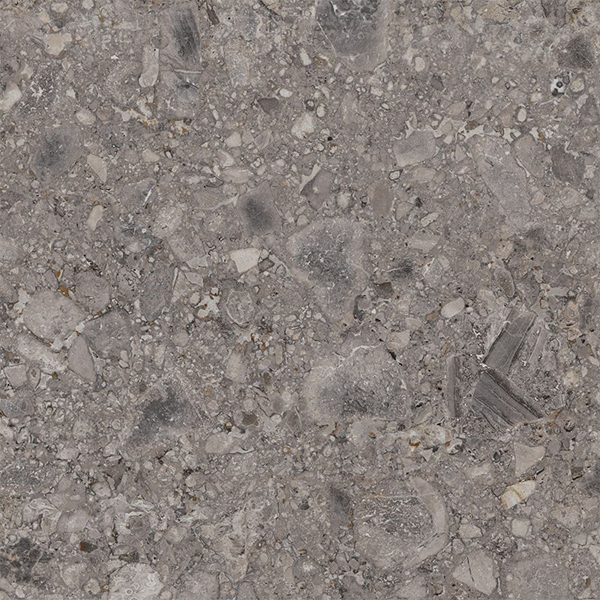 Керамогранит FUTURA TORTORA BOCC.RT. (7013702) 60x60 от Ariana (Италия)