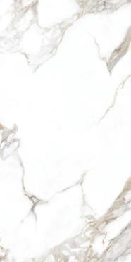 Керамогранит AOZ5 OOOC Carrera White Silky Rectified 59.7x119.8 от Goldis Tile (Иран)