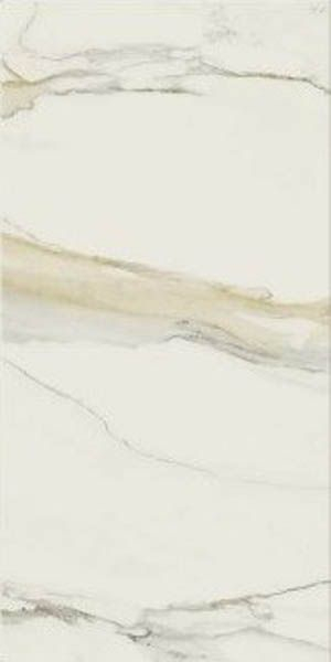 Керамогранит CAL.GOLD CHAIN B 6MM GLOSSY (750677) 120x240 от REX Ceramiche (Италия)