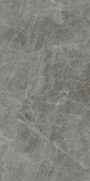 Керамогранит BRIGHT AND SHINY SERIES Tundra Grey mat (NTT9119M) 60x120 от NT Ceramic (Китай)