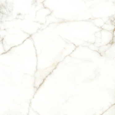 Керамогранит RHAPSODY EMOTION LEV/RETT.(118712) 60x60 от Naxos Ceramica (Италия)