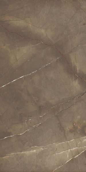 Керамогранит Pulpis Puro Nat/Rett 65400 60x120 от Cerdomus (Италия)