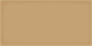 Настенная плитка Corso Caramelo 10x20 от Vives Ceramica (Испания)