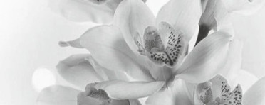 Панно Элегия 7 тип-3 20x50 от Керамин (Беларусь)