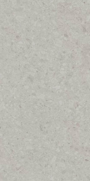 Керамогранит Чеппо ди Гре серый светлый матовый обрезной (DD507620R) 60x119.5 от Kerama Marazzi (Россия)