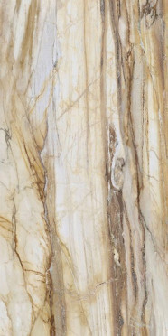 Керамогранит LM FOSSIL ST R E (FBS00MQ041) 100x200 от Roca (Испания)