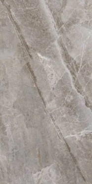 Керамогранит Essence Grey Polished (PR209) 60x120 от Primavera (Индия)