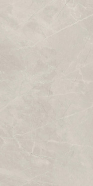 Керамогранит Bayona Silver Natural 60x120 от Baldocer (Испания)