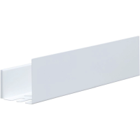 Полка Aquanet Магнум 50x12 белая матовая, с крючками