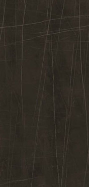 Напольная плитка TREX6 260N RM 120x260 от La Faenza (Италия)