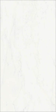 Керамогранит CHA.DEL.B.MICHEL. CER (610015000494) 60x120 от Italon (Россия)