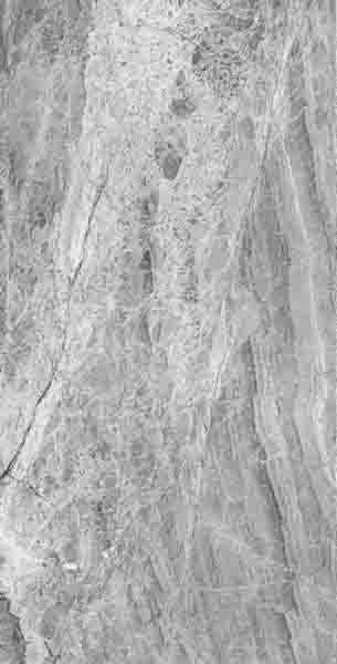 Керамогранит PALACIO Imperador Grey Polished 60x120 от Staro (Индия)