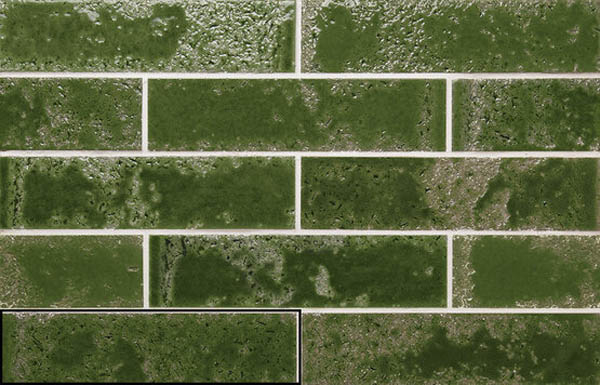 Настенная плитка PUKKA CROCODILE GREEN 6.4x26 от APE Ceramica (Испания)