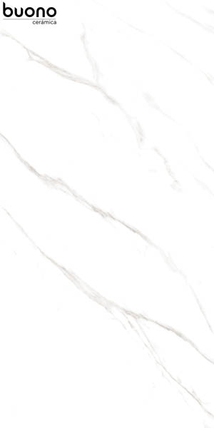 Керамогранит Marble Carrara Livia Glossy полированная (M4401P) 60x120 от Buono (Индия)