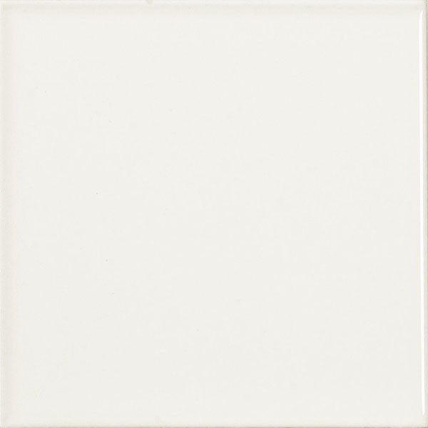 Настенная плитка MONOCOLOR LISO MATE BLANCO 10x10 от Vilar Albaro (Испания)