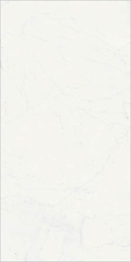 Керамогранит CHA.DEL.B.MICHEL LUX (610015000500) 80x160 от Italon (Россия)