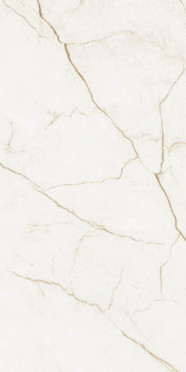 Керамогранит FORTE DEI MARMI QUARK SAHARA BLANC Lapp (610015000692) 80x160 от Atlas Concorde (Россия)