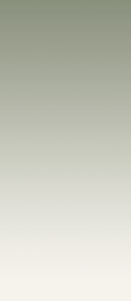 Декор Dekor gresowy Cielo e Terra Ombra verde Gat.1 274.8x119.8 от Tubadzin (Польша)