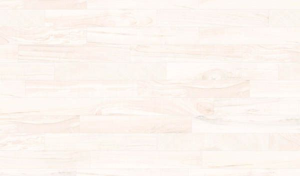 Керамогранит Gamma-R Blanco 14.4x89.3 от Vives Ceramica (Испания)