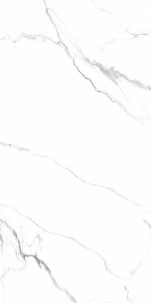 Керамогранит Hermitage Mckinley Carving (N20419) 60x120 от Neodom (Индия)