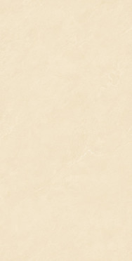 Керамогранит Cateye Beige grains soft-polished mould (BHW-0004) 60x120x10 от Basconi Home (Китай)