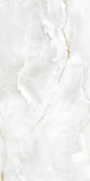 Керамогранит EC.Eternal white 004 PL 60x120 от Ecoceramic (Испания)