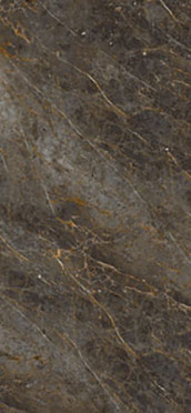 Керамогранит Aesthetica AE GOL6 260 LPM (AEGOL6260LPM) 120x260 от La Faenza (Италия)