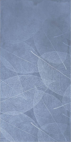 Керамогранит ELEGANZA Blu Arte Carving 60x120 от Infiniti (Индия)