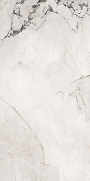 Керамогранит Aesthetica AE CAM6 12 LPM (AECAM612LPM) 60x120 от La Faenza (Италия)