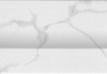 Декор ROMA 25 STATUARIO ALZATA (fLUW) 17.5x25 от FAP Ceramiche (Италия)