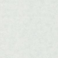 32410 Обои Marburg (Shades Iconic/Flora/Shades) (1*12) 10,05x0,53 винил на флизелине